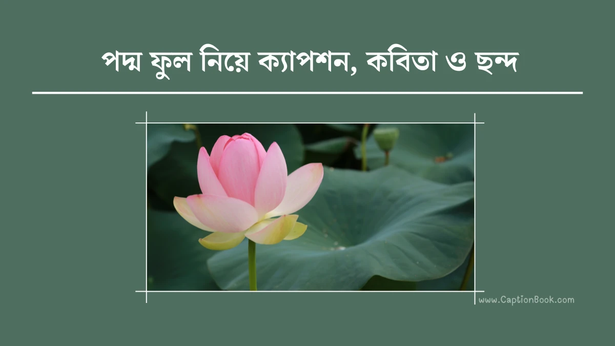 পদ্ম ফুল নিয়ে ক্যাপশন