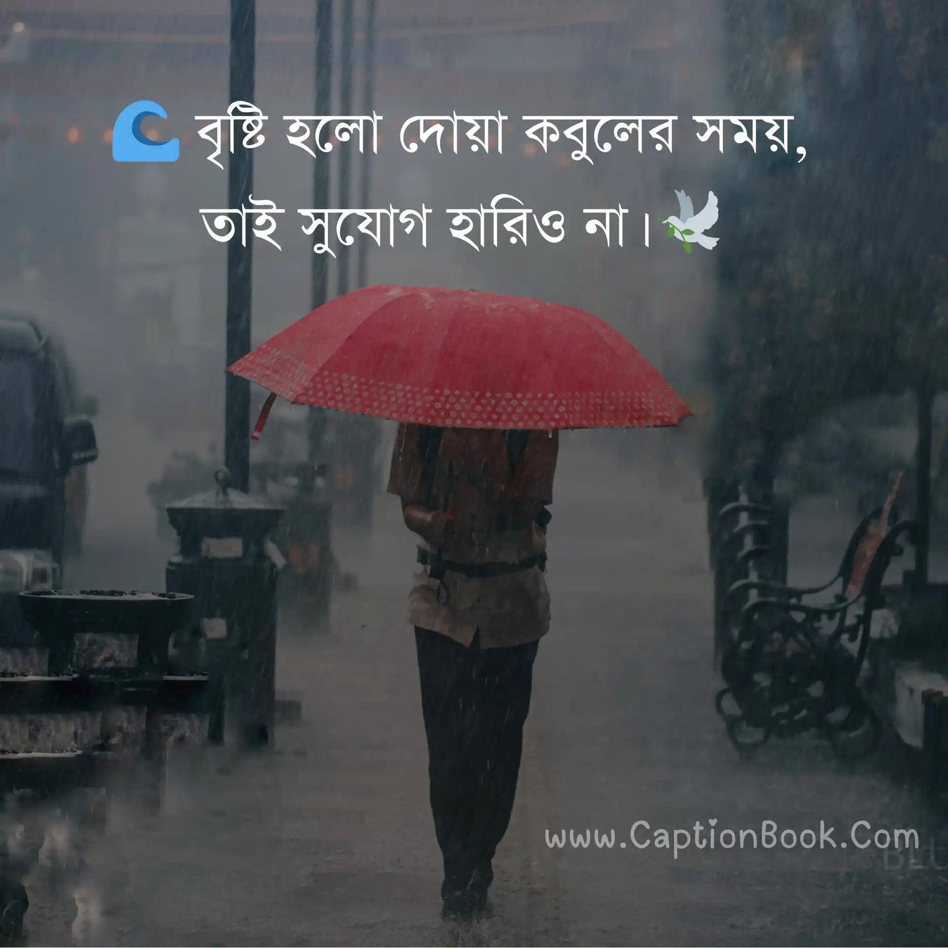 বৃষ্টি নিয়ে ইসলামিক ক্যাপশন