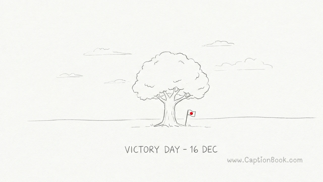 বিজয় দিবসের ছবি আঁকা